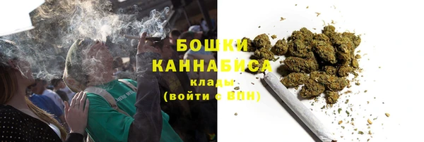 скорость Вяземский