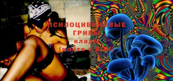 сатива Вязьма