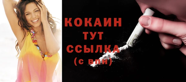 сатива Вязьма