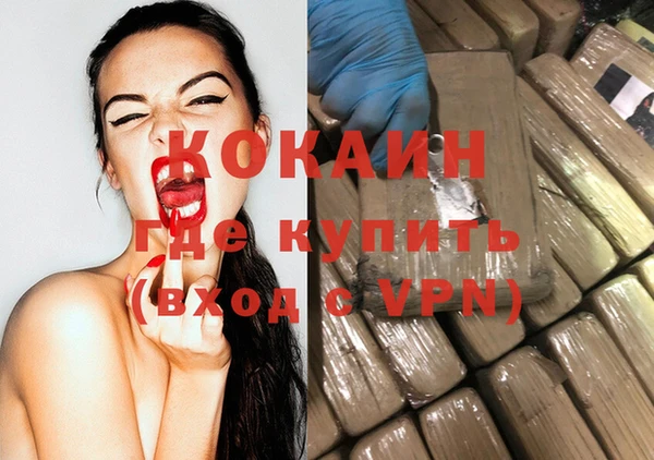 сатива Вязьма