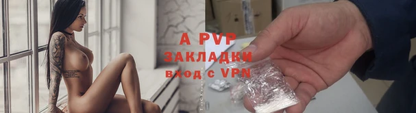 скорость Вяземский