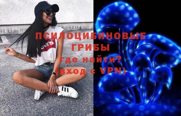 сатива Вязьма