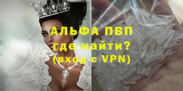 скорость Вяземский